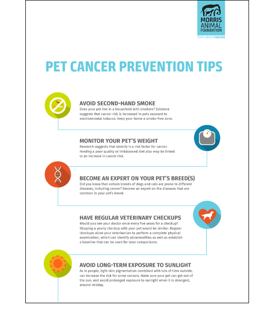Pet Cancer Prevention Checklist Morris Animal Foundation